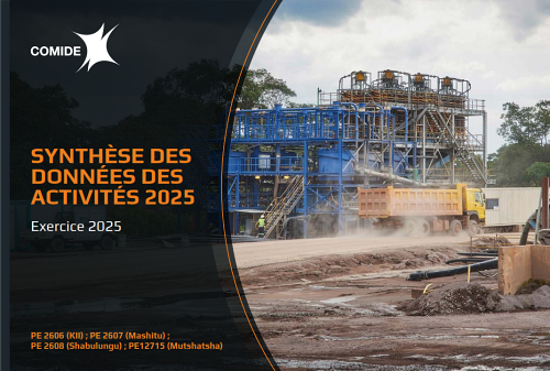 Activities Report 2025